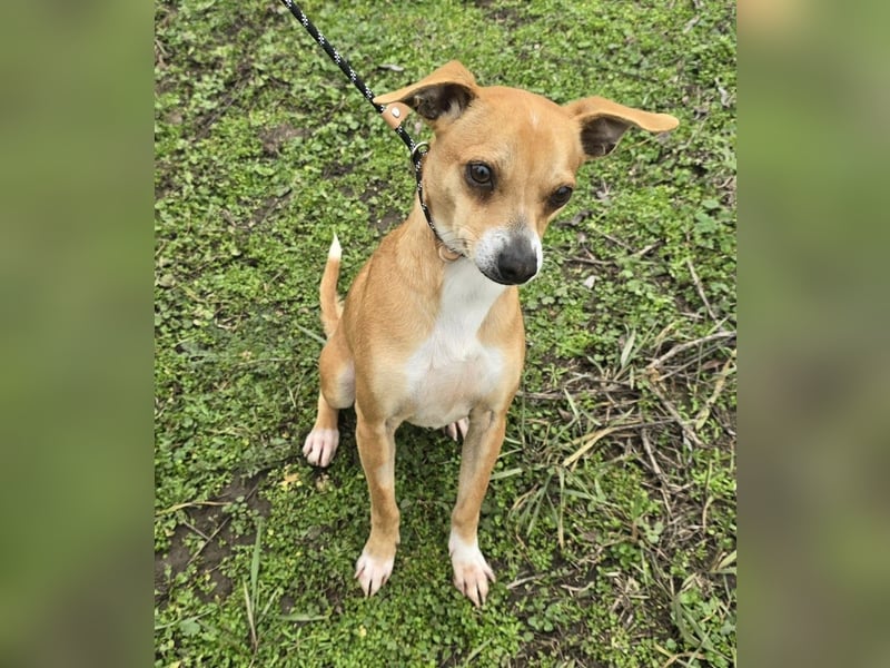 Claude oder Bonnie und Clyde