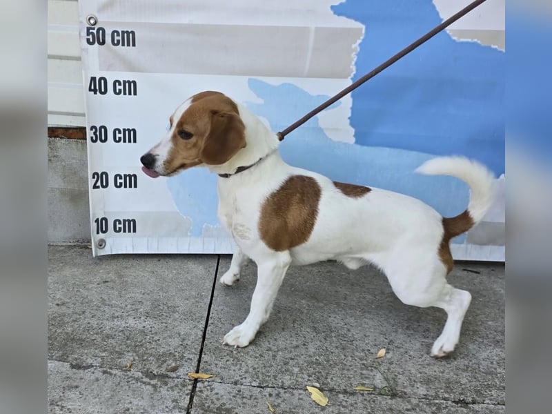 Floyd - fröhlicher Jungspund