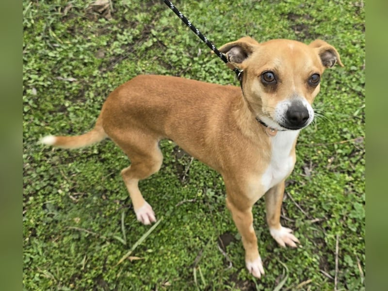 Claude oder Bonnie und Clyde