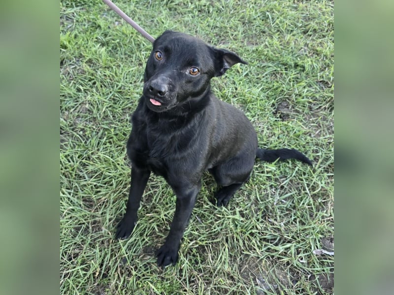 Berry - black is beautiful