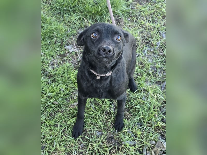 Litchi black is beautiful