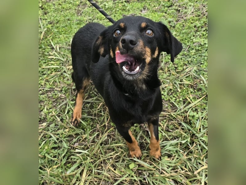 Cosette oder Bonnie und Clyde