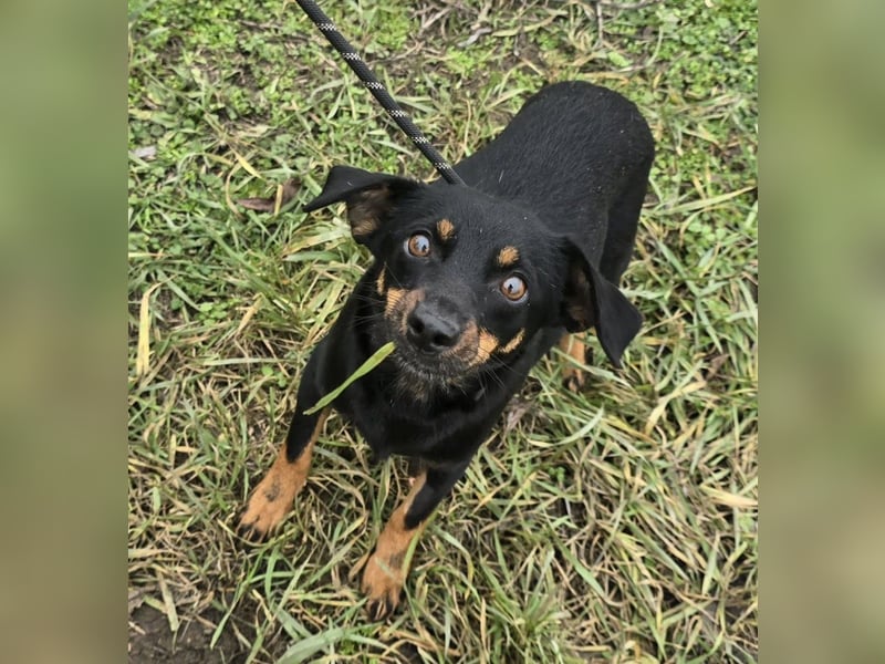 Cosette oder Bonnie und Clyde