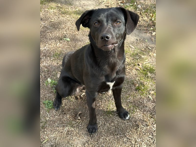 Willow black is beautiful