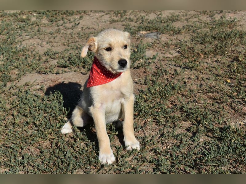 Luggi - einfach entsorgt!