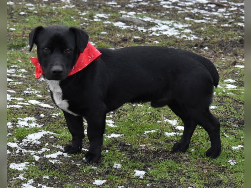 Misel von der Dunkelheit ins Licht