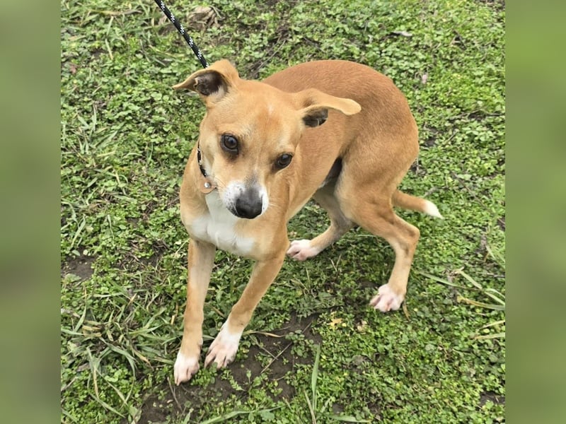 Claude oder Bonnie und Clyde