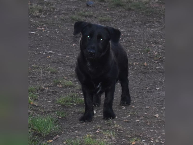 Buddy - your best friend?