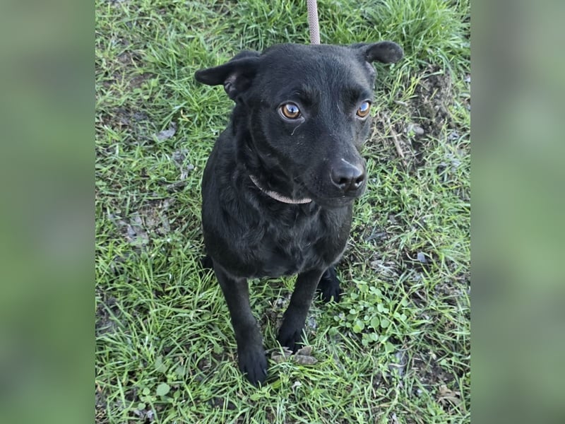 Litchi black is beautiful