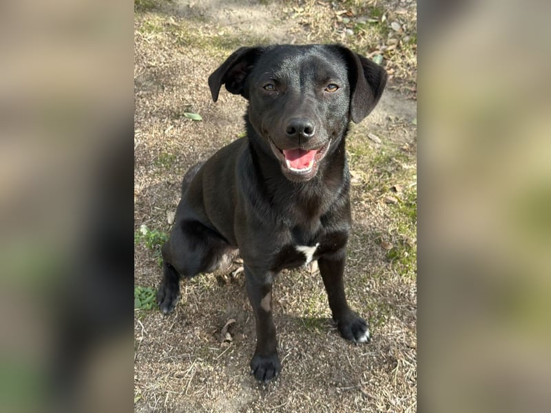 Willow black is beautiful