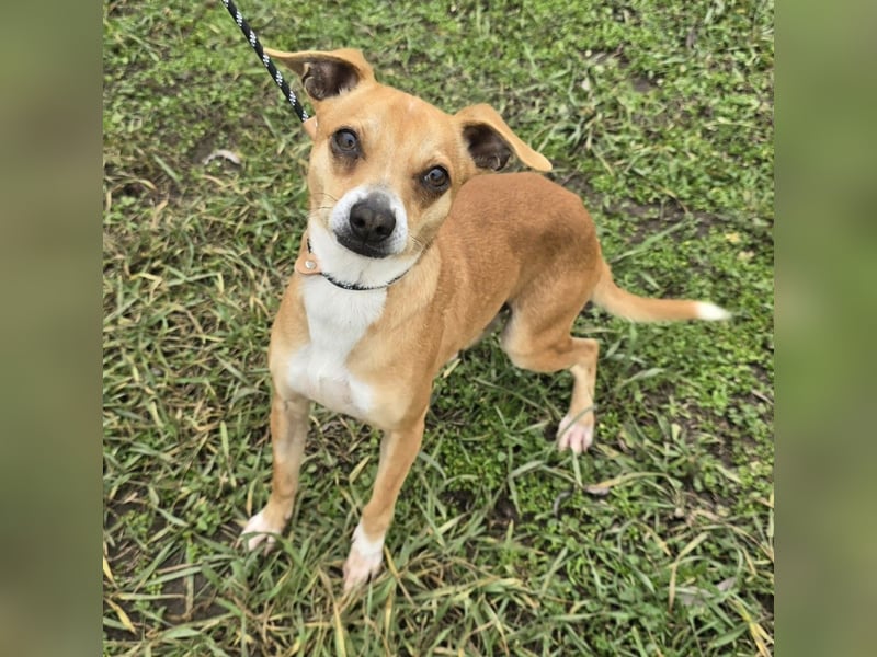 Claude oder Bonnie und Clyde