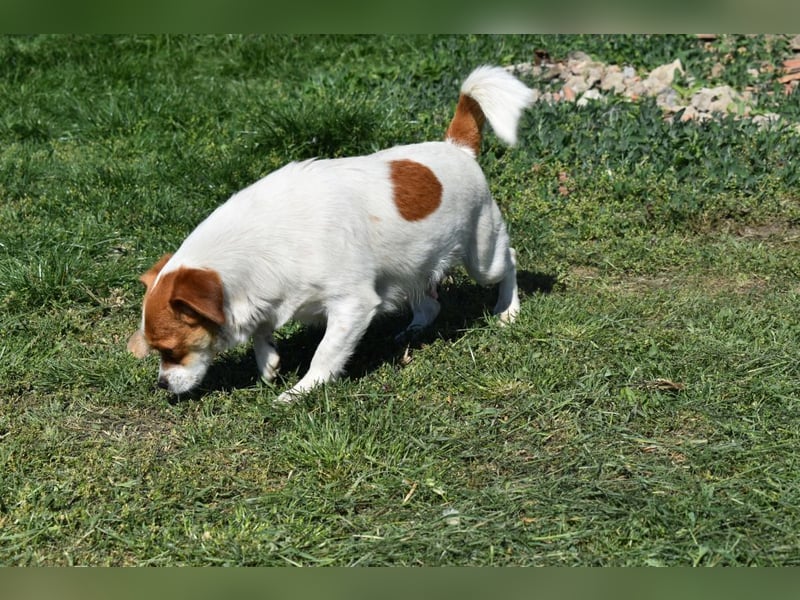 Hannah sucht Familienanschluss