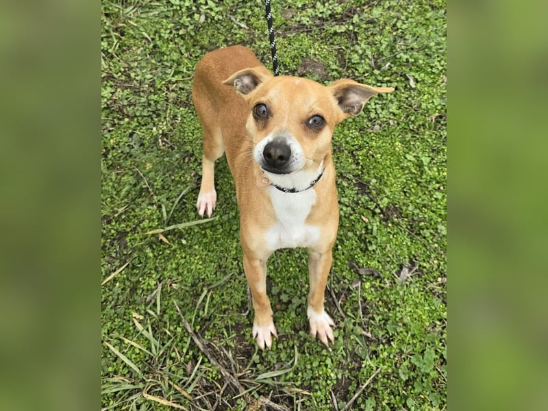 Claude oder Bonnie und Clyde