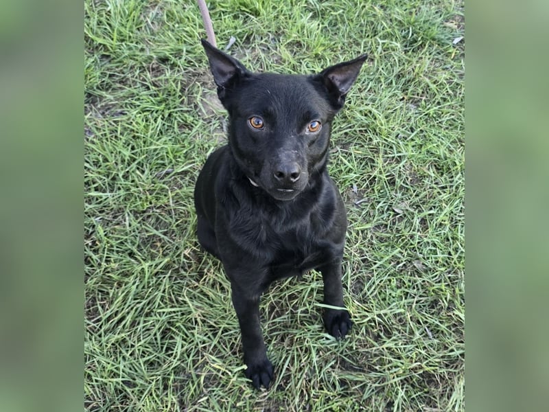 Berry - black is beautiful