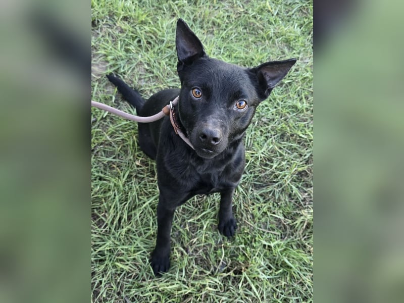 Berry - black is beautiful