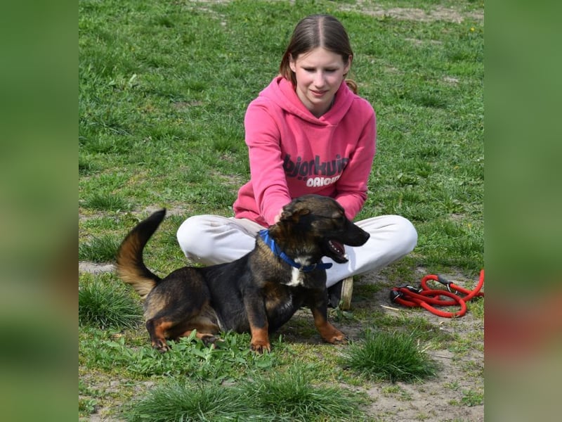 Emma - vor der Kette gerettet