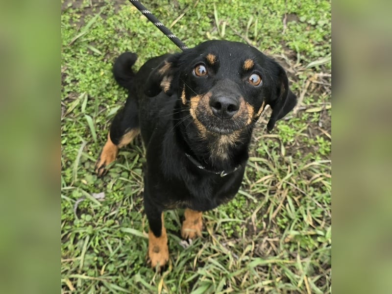 Cosette oder Bonnie und Clyde