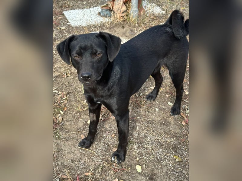 Willow black is beautiful