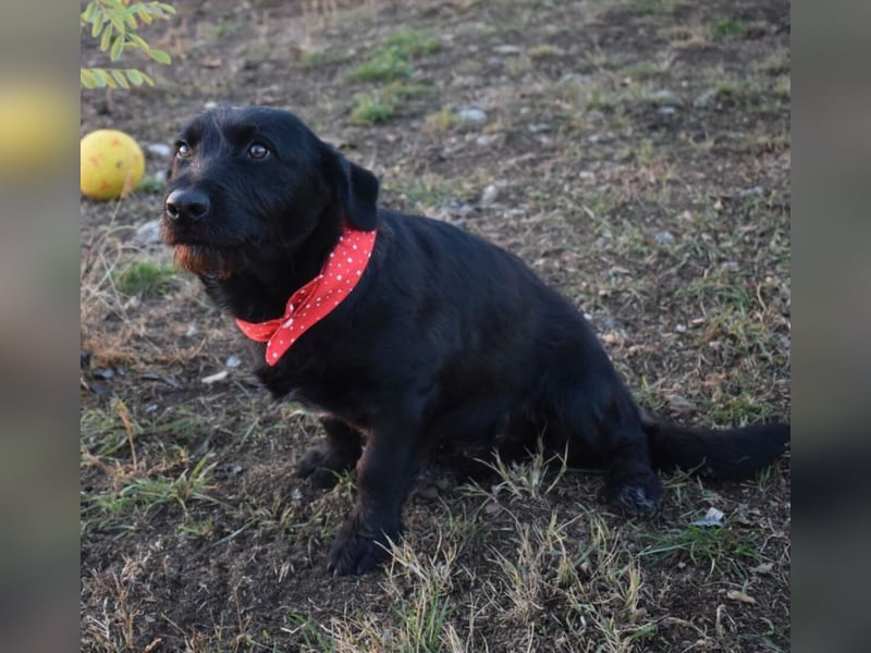 Buddy - your best friend?