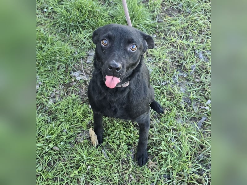 Litchi black is beautiful