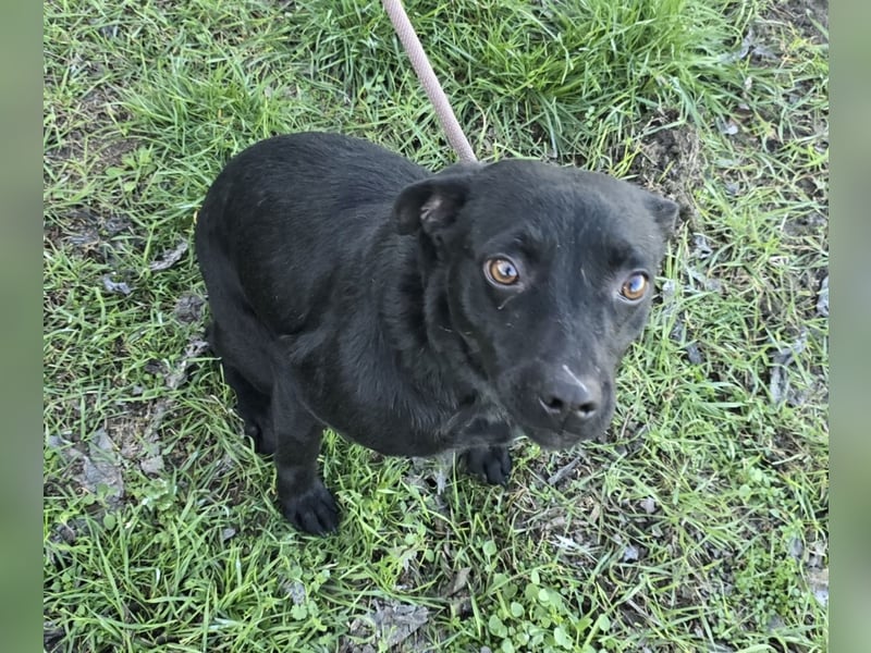 Litchi black is beautiful