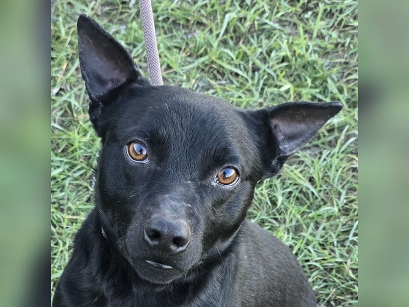 Berry - black is beautiful