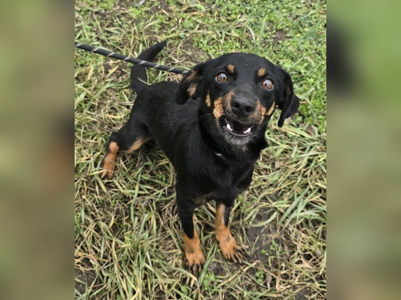 Cosette oder Bonnie und Clyde