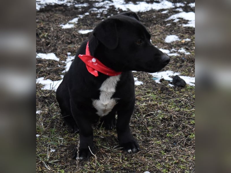 Misel von der Dunkelheit ins Licht