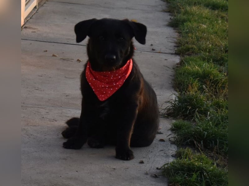 Buddy - your best friend?