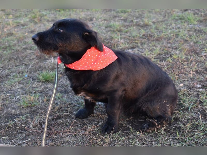 Buddy - your best friend?