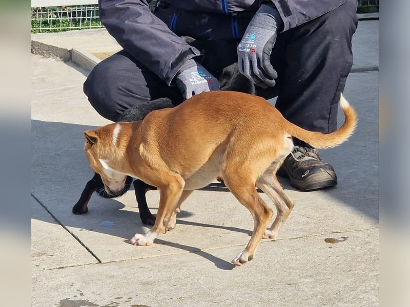 Claude oder Bonnie und Clyde