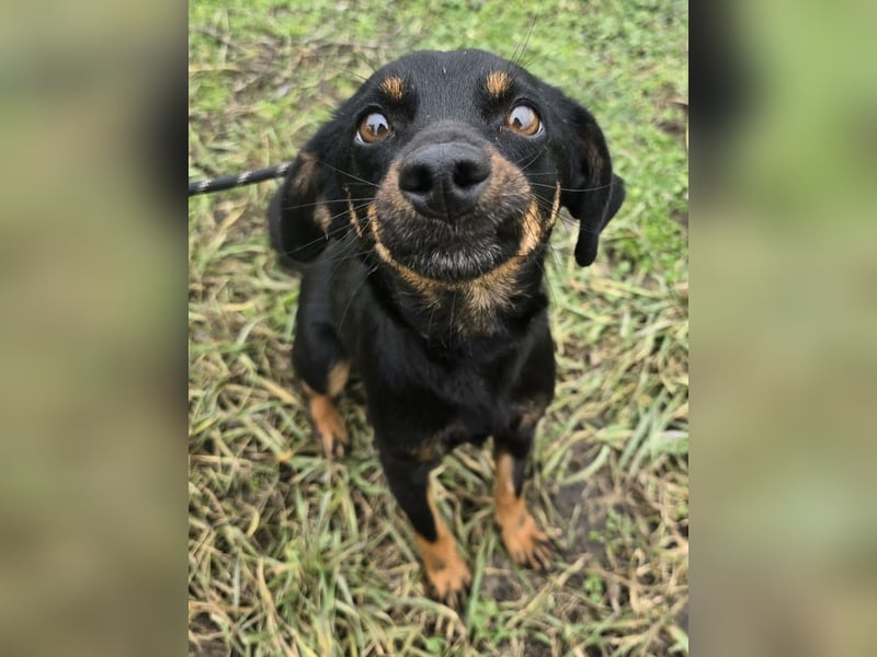 Cosette oder Bonnie und Clyde