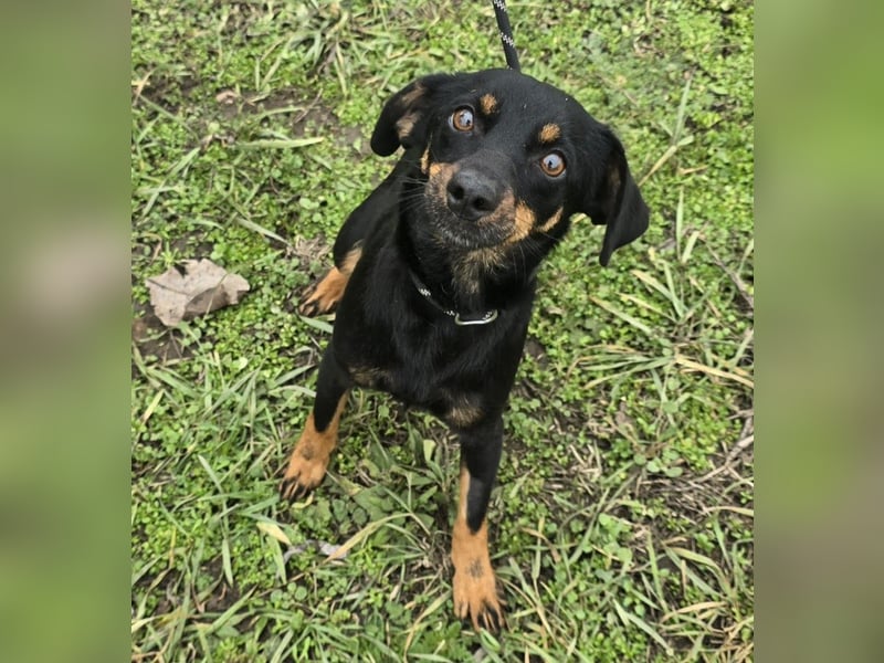 Cosette oder Bonnie und Clyde