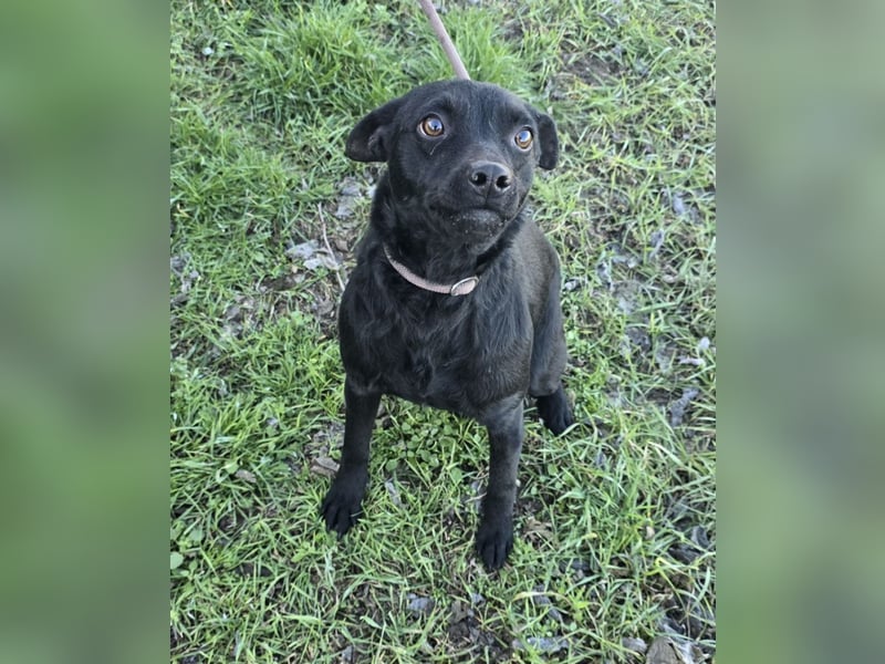 Litchi black is beautiful