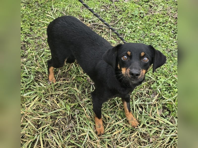 Cosette oder Bonnie und Clyde