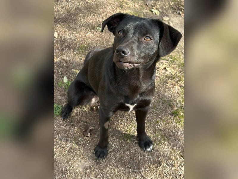 Willow black is beautiful