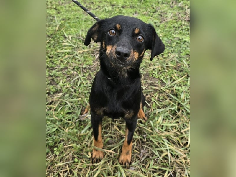 Cosette oder Bonnie und Clyde