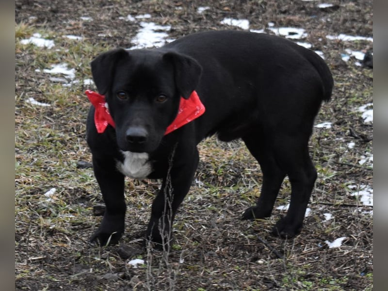 Misel von der Dunkelheit ins Licht