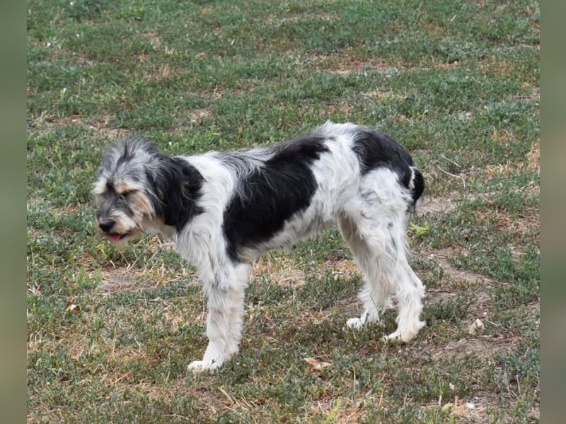 Ruby kleine Frohnatur