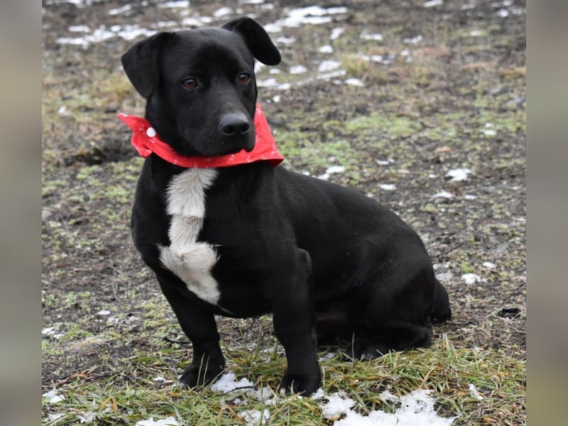 Misel von der Dunkelheit ins Licht