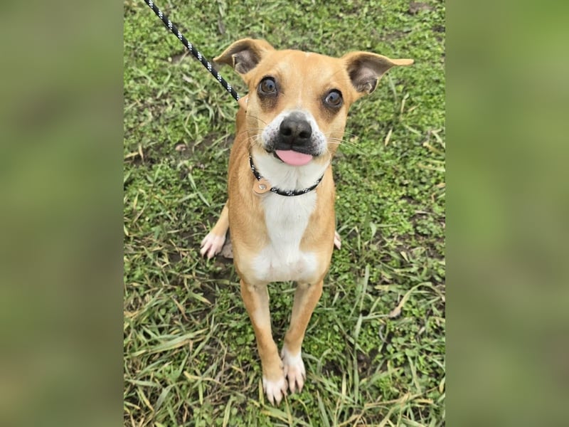 Claude oder Bonnie und Clyde