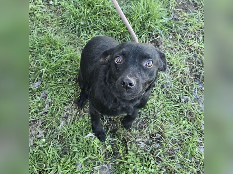 Litchi black is beautiful