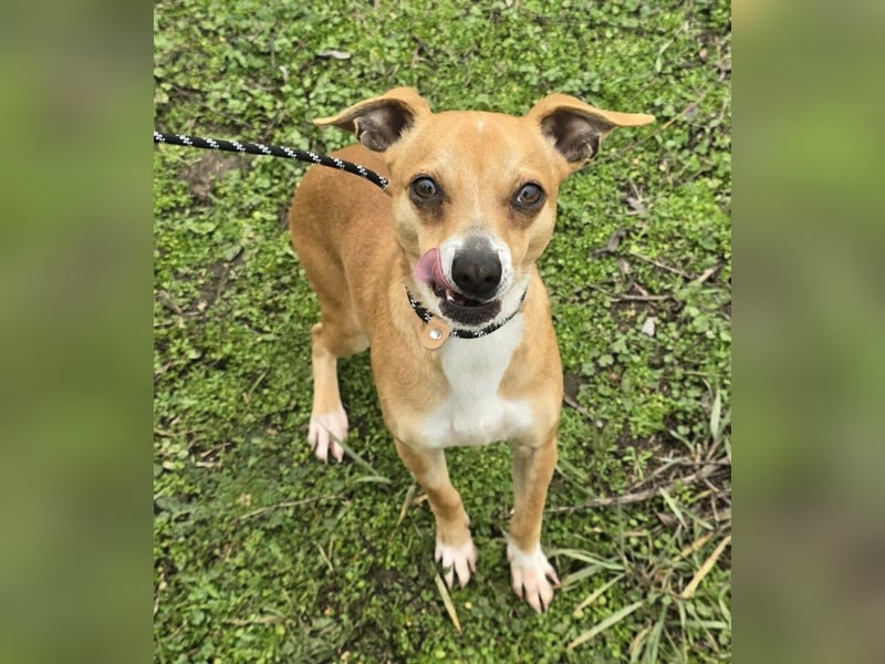 Claude oder Bonnie und Clyde