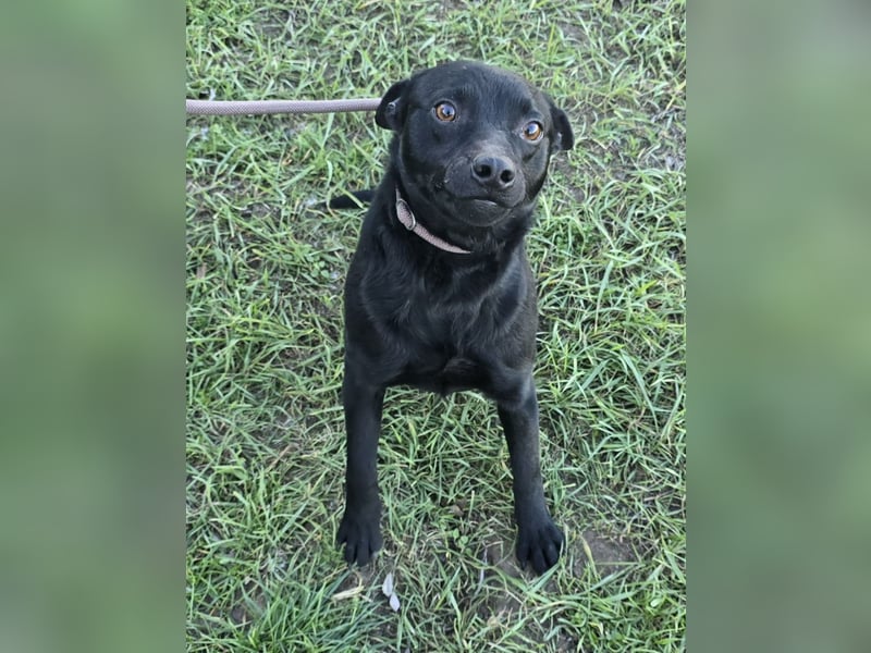 Berry - black is beautiful