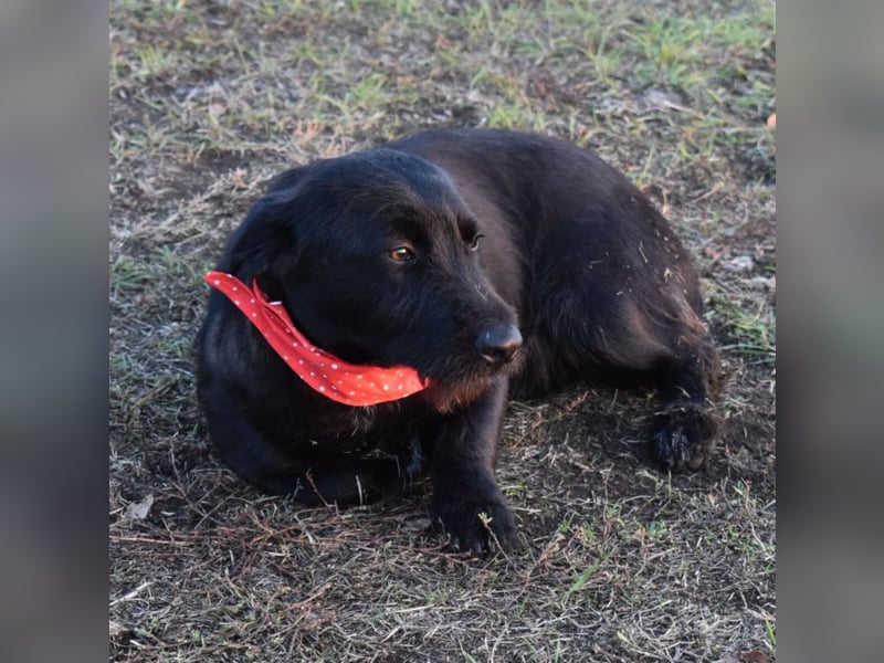 Buddy - your best friend?