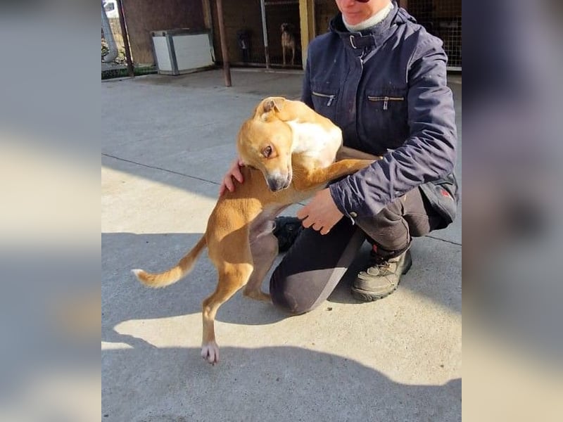 Claude oder Bonnie und Clyde