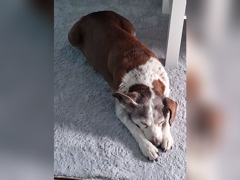 Tilda - liebenswerte Seniorin