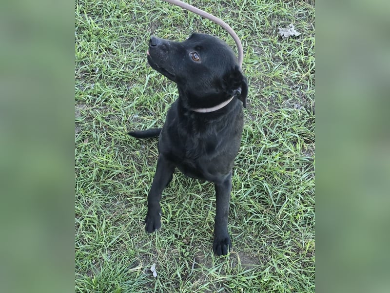 Berry - black is beautiful