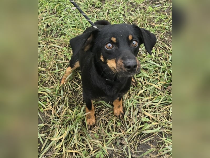 Cosette oder Bonnie und Clyde