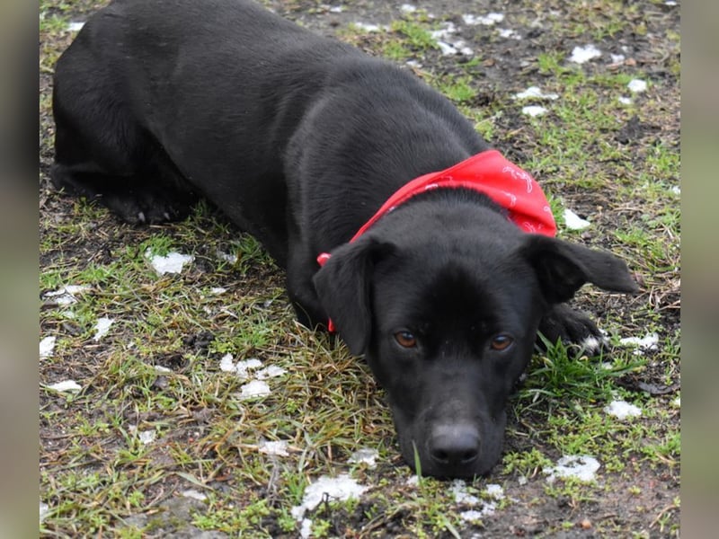 Misel von der Dunkelheit ins Licht